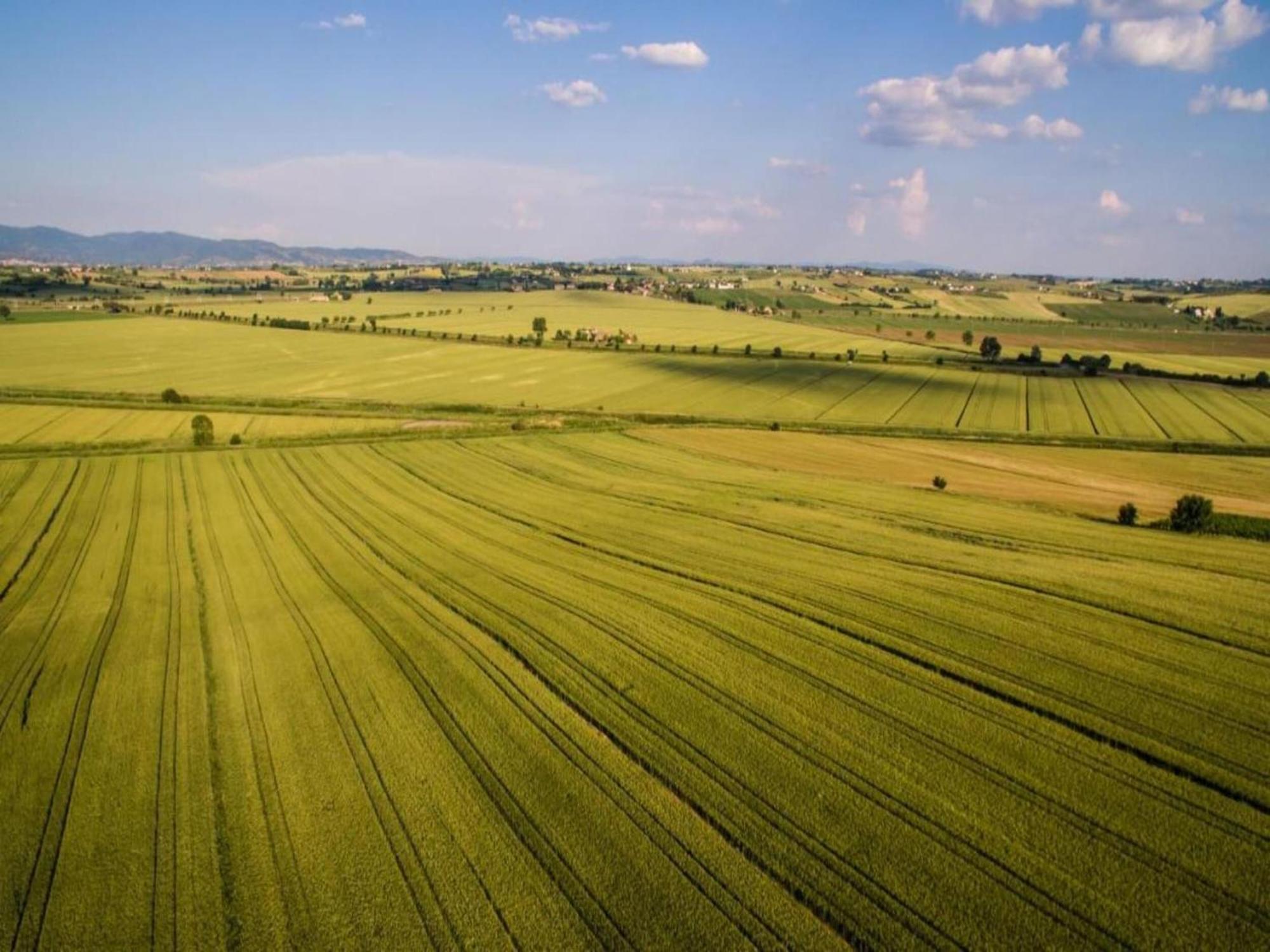 Belvilla By Oyo Mulino Cortona Exteriér fotografie